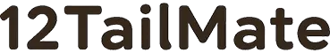 性格診断なら12Tailmate